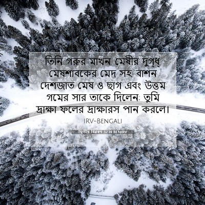 Picture 07 - দ্বিতীয় বিৱৰণ 32:14 BENIRV - তিনি গরুর মাখন, - Bible Verse Picture