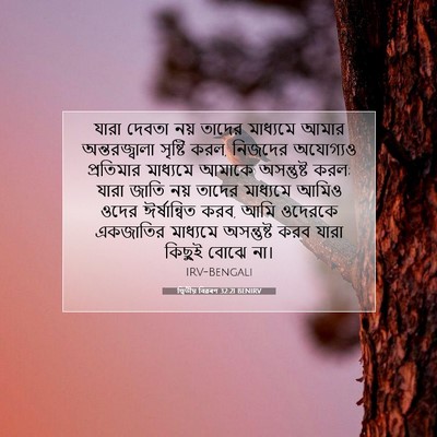 Picture 07 - দ্বিতীয় বিৱৰণ 32:21 BENIRV - যারা দেবতা নয় - Bible Verse Picture