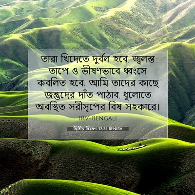 Picture 07 - দ্বিতীয় বিৱৰণ 32:24 BENIRV - তারা খিদেতে - Bible Verse Picture