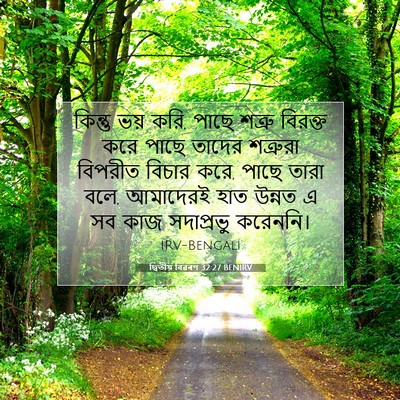 Picture 07 - দ্বিতীয় বিৱৰণ 32:27 BENIRV - কিন্তু ভয় করি, - Bible Verse Picture