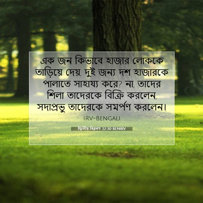 Picture 07 - দ্বিতীয় বিৱৰণ 32:30 BENIRV - এক জন কিভাবে হাজার - Bible Verse Picture