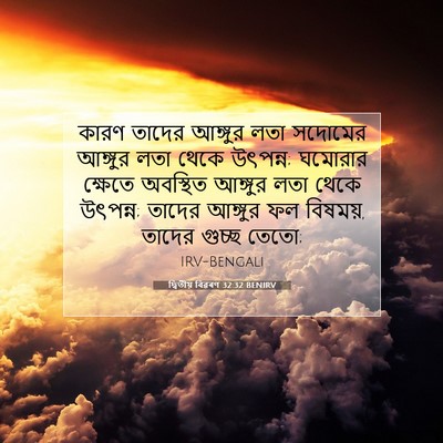 Picture 07 - দ্বিতীয় বিৱৰণ 32:32 BENIRV - কারণ তাদের আঙ্গুর - Bible Verse Picture