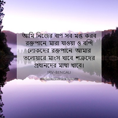 Picture 07 - দ্বিতীয় বিৱৰণ 32:42 BENIRV - আমি নিজের বাণ সব - Bible Verse Picture