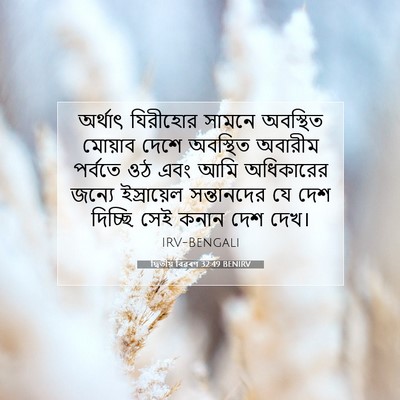 Picture 07 - দ্বিতীয় বিৱৰণ 32:49 BENIRV - অর্থাৎ যিরীহোর - Bible Verse Picture