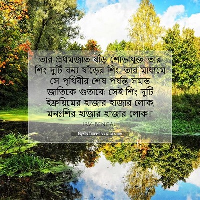 Picture 07 - দ্বিতীয় বিৱৰণ 33:17 BENIRV - তার প্রথমজাত - Bible Verse Picture