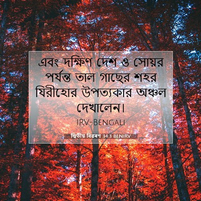 Picture 07 - দ্বিতীয় বিৱৰণ 34:3 BENIRV - এবং দক্ষিণ দেশ ও - Bible Verse Picture