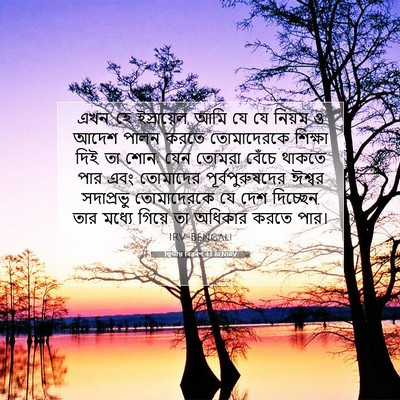 Picture 07 - দ্বিতীয় বিৱৰণ 4:1 BENIRV - এখন, হে ইস্রায়েল, - Bible Verse Picture