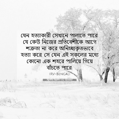 Picture 07 - দ্বিতীয় বিৱৰণ 4:42 BENIRV - যেন হত্যাকারী - Bible Verse Picture