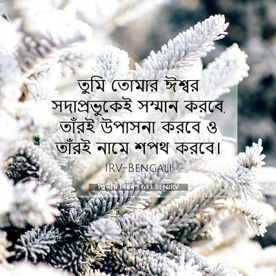 Picture 07 - দ্বিতীয় বিৱৰণ 6:13 BENIRV - তুমি তোমার ঈশ্বর - Bible Verse Picture