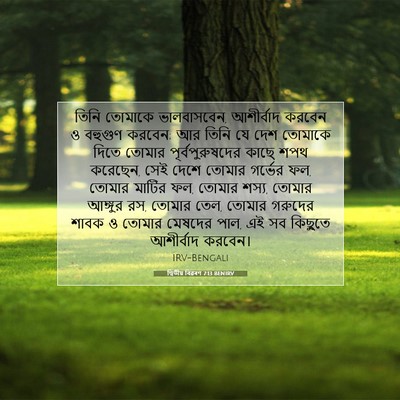 Picture 07 - দ্বিতীয় বিৱৰণ 7:13 BENIRV - তিনি তোমাকে - Bible Verse Picture