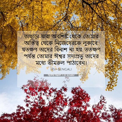 Picture 07 - দ্বিতীয় বিৱৰণ 7:20 BENIRV - তাছাড়া যারা - Bible Verse Picture