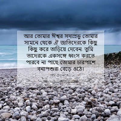 Picture 07 - দ্বিতীয় বিৱৰণ 7:22 BENIRV - আর তোমার ঈশ্বর - Bible Verse Picture