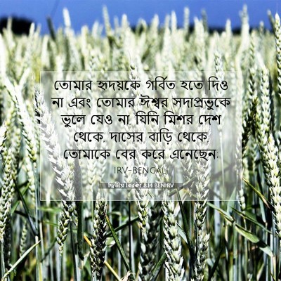 Picture 07 - দ্বিতীয় বিৱৰণ 8:14 BENIRV - তোমার হৃদয়কে - Bible Verse Picture