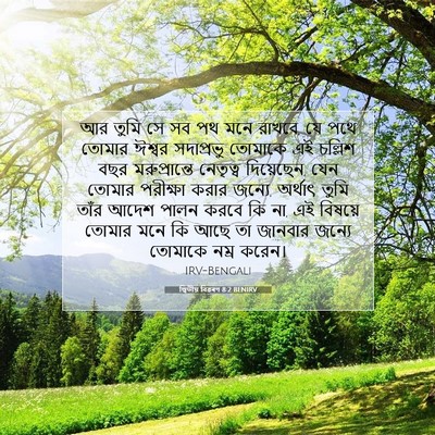 Picture 07 - দ্বিতীয় বিৱৰণ 8:2 BENIRV - আর তুমি সে সব পথ - Bible Verse Picture