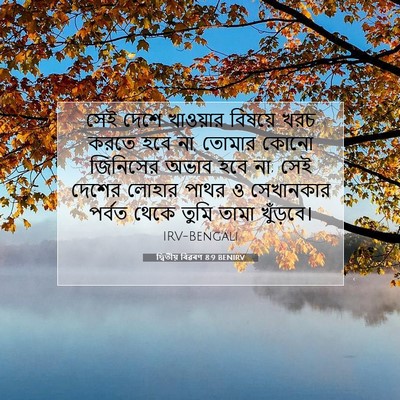 Picture 07 - দ্বিতীয় বিৱৰণ 8:9 BENIRV - সেই দেশে খাওয়ার - Bible Verse Picture