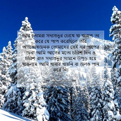 Picture 07 - দ্বিতীয় বিৱৰণ 9:18 BENIRV - আর তোমরা - Bible Verse Picture