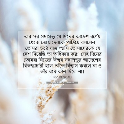 Picture 07 - দ্বিতীয় বিৱৰণ 9:23 BENIRV - তার পর সদাপ্রভু যে - Bible Verse Picture
