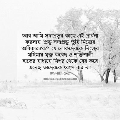 Picture 07 - দ্বিতীয় বিৱৰণ 9:26 BENIRV - আর আমি সদাপ্রভুর - Bible Verse Picture