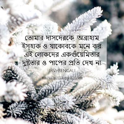Picture 07 - দ্বিতীয় বিৱৰণ 9:27 BENIRV - তোমার দাসদেরকে, - Bible Verse Picture