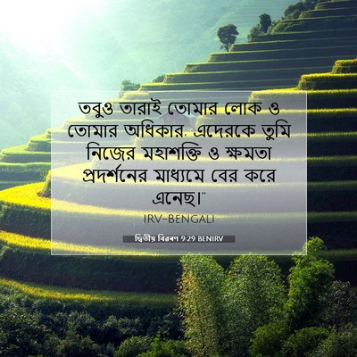 Picture 07 - দ্বিতীয় বিৱৰণ 9:29 BENIRV - তবুও তারাই তোমার - Bible Verse Picture