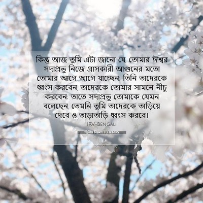 Picture 07 - দ্বিতীয় বিৱৰণ 9:3 BENIRV - কিন্তু আজ তুমি এটা - Bible Verse Picture