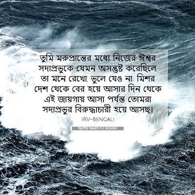 Picture 07 - দ্বিতীয় বিৱৰণ 9:7 BENIRV - তুমি মরুপ্রান্তের - Bible Verse Picture