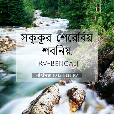 Picture 07 - নহিমিয়া 10:12 BENIRV - সক্কূর, শেরেবিয়, - Bible Verse Picture