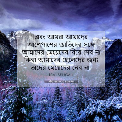 Picture 07 - নহিমিয়া 10:30 BENIRV - এবং আমরা আমাদের - Bible Verse Picture