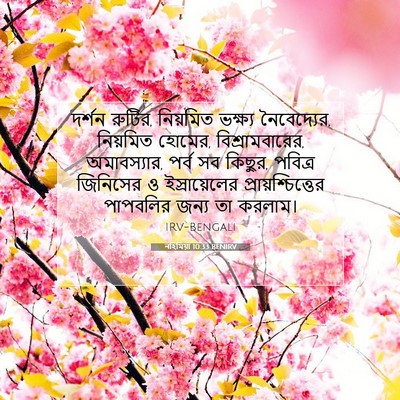 Picture 07 - নহিমিয়া 10:33 BENIRV - দর্শন রুটির, - Bible Verse Picture