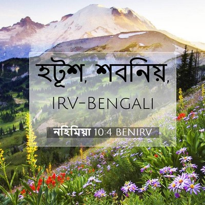 Picture 07 - নহিমিয়া 10:4 BENIRV - হটূশ, - Bible Verse Picture