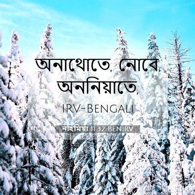 Picture 07 - নহিমিয়া 11:32 BENIRV - অনাথোতে, নোবে, - Bible Verse Picture