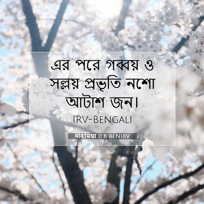 Picture 07 - নহিমিয়া 11:8 BENIRV - এর পরে গব্বয় ও - Bible Verse Picture