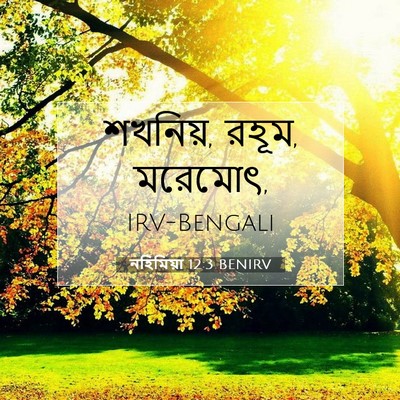 Picture 07 - নহিমিয়া 12:3 BENIRV - শখনিয়, রহূম, - Bible Verse Picture