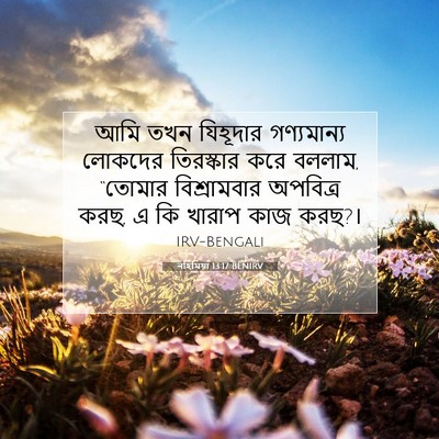 Picture 07 - নহিমিয়া 13:17 BENIRV - আমি তখন যিহূদার - Bible Verse Picture