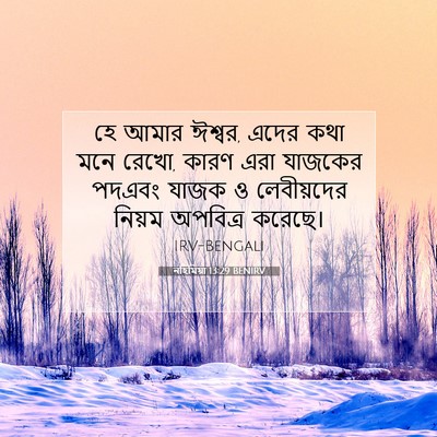 Picture 07 - নহিমিয়া 13:29 BENIRV - হে আমার ঈশ্বর, এদের - Bible Verse Picture