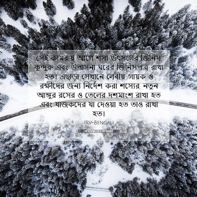 Picture 07 - নহিমিয়া 13:5 BENIRV - সেই কামরায় আগে - Bible Verse Picture