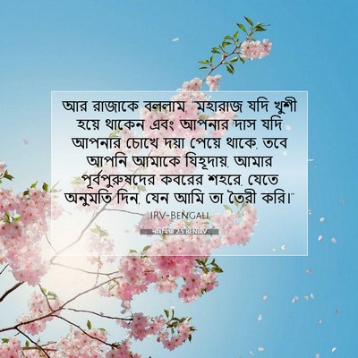Picture 07 - নহিমিয়া 2:5 BENIRV - আর রাজাকে বললাম, - Bible Verse Picture
