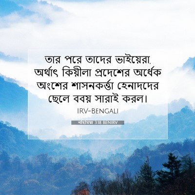 Picture 07 - নহিমিয়া 3:18 BENIRV - তার পরে তাদের - Bible Verse Picture