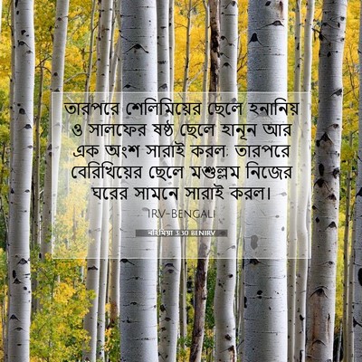 Picture 07 - নহিমিয়া 3:30 BENIRV - তারপরে শেলিমিয়ের - Bible Verse Picture