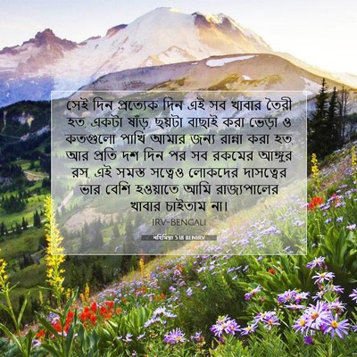 Picture 07 - নহিমিয়া 5:18 BENIRV - সেই দিন প্রত্যেক - Bible Verse Picture