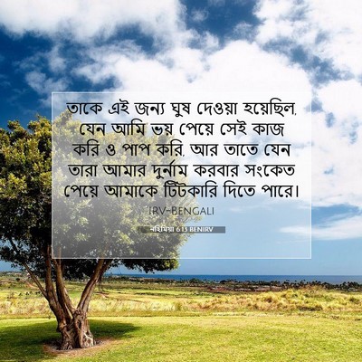 Picture 07 - নহিমিয়া 6:13 BENIRV - তাকে এই জন্য ঘুষ - Bible Verse Picture