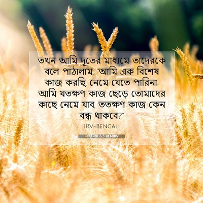 Picture 07 - নহিমিয়া 6:3 BENIRV - তখন আমি দূতের - Bible Verse Picture