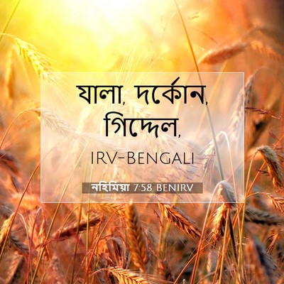 Picture 07 - নহিমিয়া 7:58 BENIRV - যালা, দর্কোন, - Bible Verse Picture