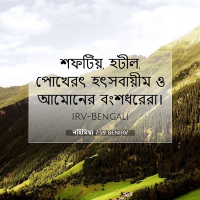 Picture 07 - নহিমিয়া 7:59 BENIRV - শফটিয়, হটীল, - Bible Verse Picture