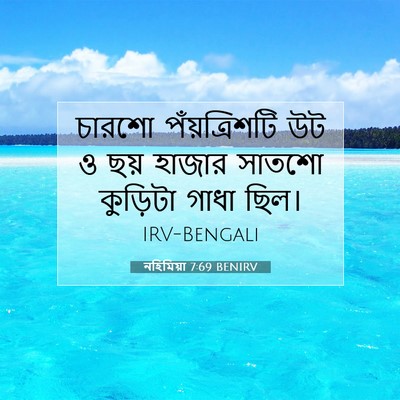 Picture 07 - নহিমিয়া 7:69 BENIRV - চারশো পঁয়ত্রিশটি - Bible Verse Picture