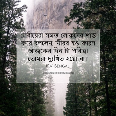 Picture 07 - নহিমিয়া 8:11 BENIRV - লেবীয়েরা সমস্ত - Bible Verse Picture