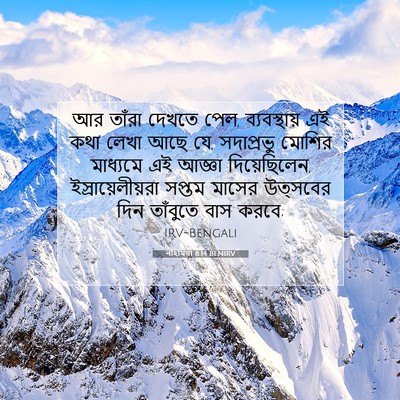 Picture 07 - নহিমিয়া 8:14 BENIRV - আর তাঁরা দেখতে পেল, - Bible Verse Picture