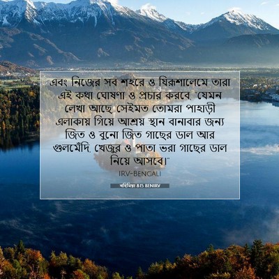 Picture 07 - নহিমিয়া 8:15 BENIRV - এবং নিজের সব শহরে ও - Bible Verse Picture