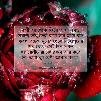 Picture 07 - নহিমিয়া 8:17 BENIRV - বন্দীদশা থেকে - Bible Verse Picture