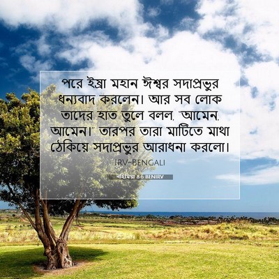 Picture 07 - নহিমিয়া 8:6 BENIRV - পরে ইষ্রা মহান - Bible Verse Picture